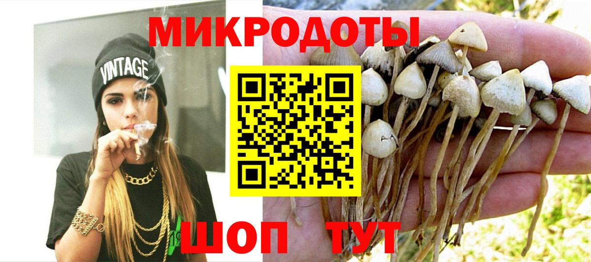 Бор  Галлюциногенные грибы Psilocybe  Вход с VPN 